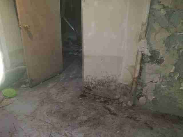 Testing again(42).jpg